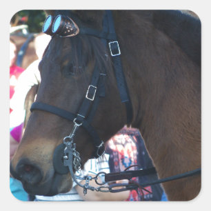 Donkere bruine Arabische paarden met een bril Vierkante Sticker