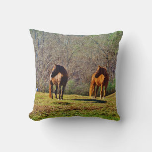 Donkere bruine en lichte bruine paarden kussen