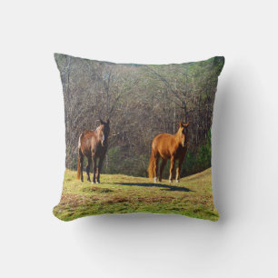 Donkere bruine en lichte bruine paarden kussen