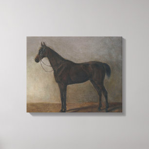 Donkere bruine Gelding Horse ( dierlijke kunst) Canvas Afdruk