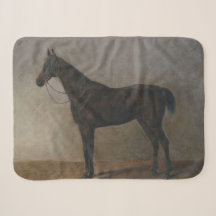 Donkere bruine Gelding Horse ( dierlijke kunst)