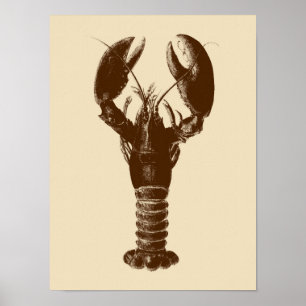 Donkere bruine laster op Light Beige Poster