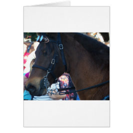 Donkere bruine paard met een bril