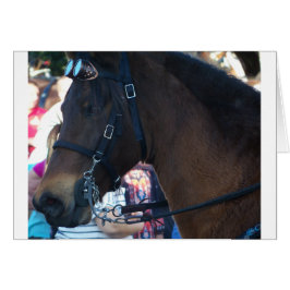 Donkere bruine paard met een bril