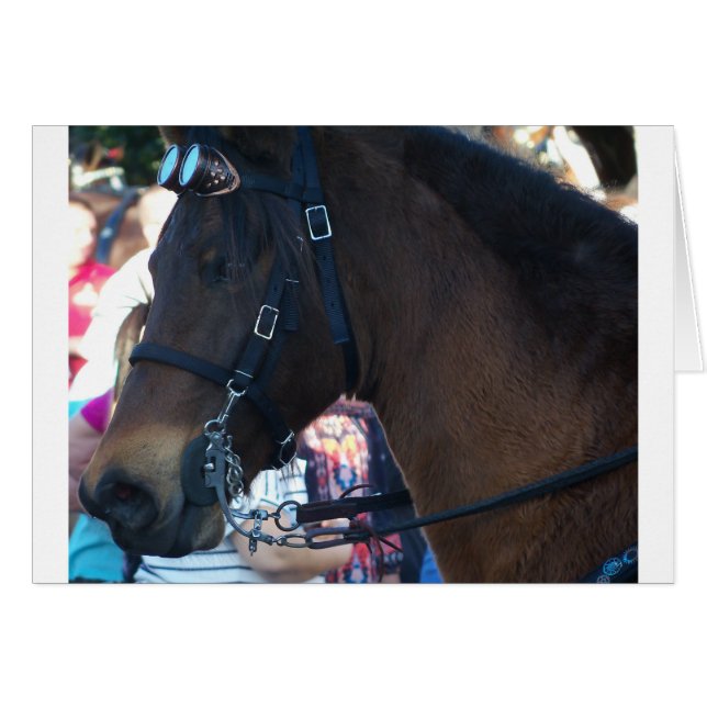 Donkere bruine paard met een bril (Voorkant Horizontaal)