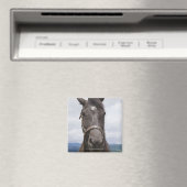 Donkere bruine paarden magneet (Insitu (Vaatwasser))