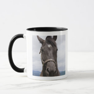 Donkere bruine paarden mok