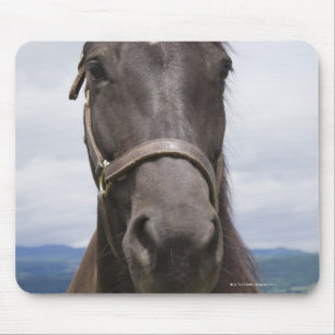 Donkere bruine paarden muismat