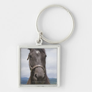 Donkere bruine paarden sleutelhanger