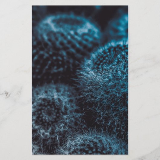 Donkere Cactus Briefpapier (Voorkant)