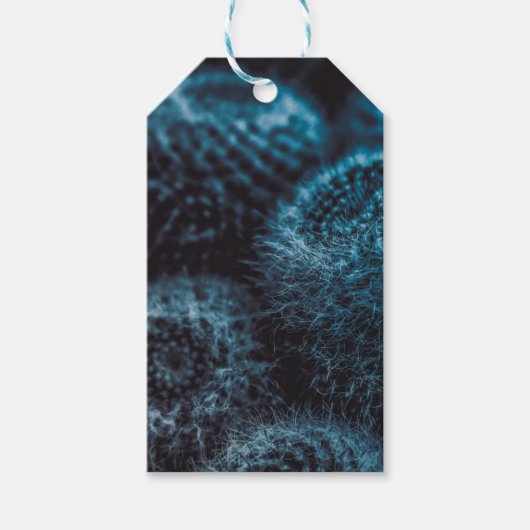 Donkere Cactus Cadeaulabel (Voorkant)