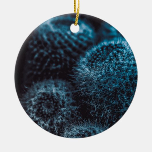 Donkere Cactus Keramisch Ornament (Voorkant)