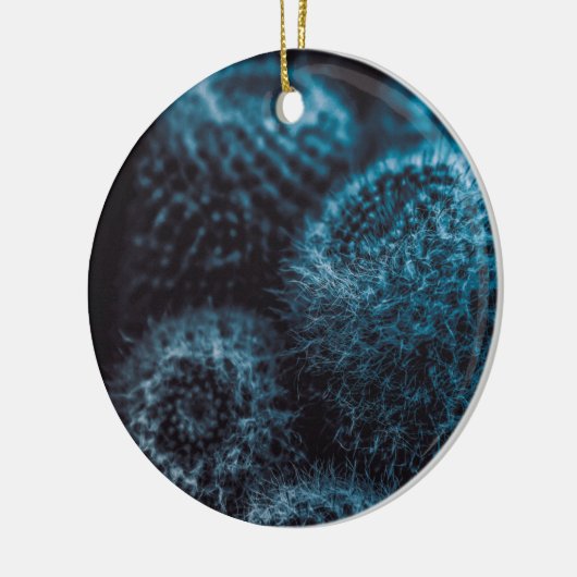 Donkere Cactus Keramisch Ornament (Links)