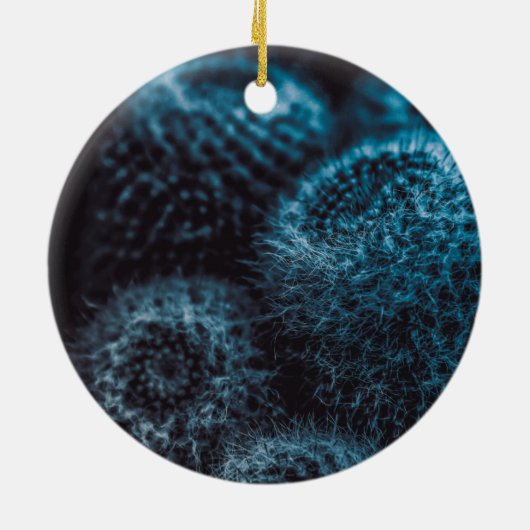 Donkere Cactus Keramisch Ornament (Achterkant)