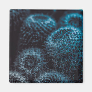 Donkere Cactus Magneet