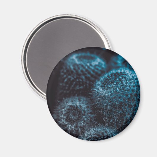 Donkere Cactus Magneet (Voorkant / Achterkant)