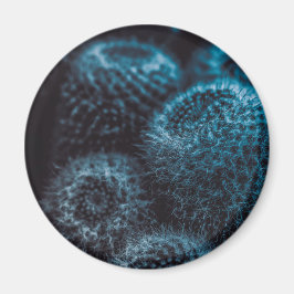 Donkere Cactus Magneet