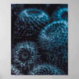 Donkere Cactus Poster