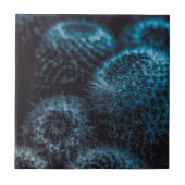 Donkere Cactus Tegeltje (Voorkant)