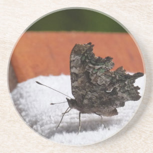 Donkere Camouflage Butterfly Zandsteen Onderzetter