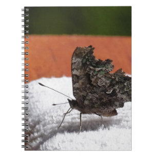 Donkere Camouflage Vlinder Notitieboek