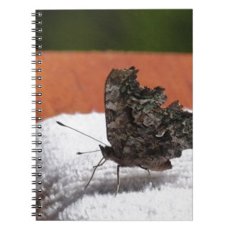Donkere Camouflage Vlinder Notitieboek