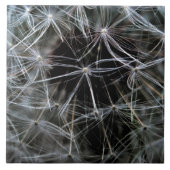 Donkere Dandelion Ceramic Tile Tegeltje (Voorkant)