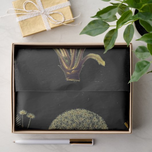 Donkere Dandilion-meubelpapier Tissuepapier (Geschenk)