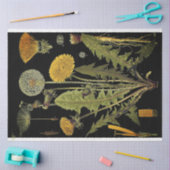 Donkere Dandilion-meubelpapier Tissuepapier (Craft)