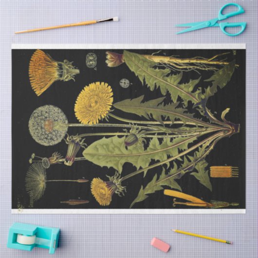 Donkere Dandilion-meubelpapier Tissuepapier (Craft)