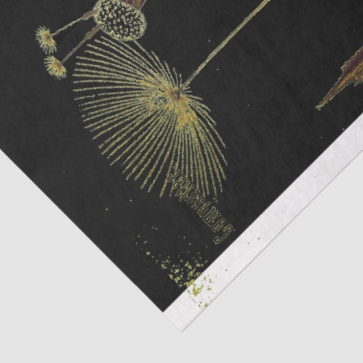 Donkere Dandilion-meubelpapier Tissuepapier (Detail)