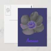 donkere dromen Anemone Flower Briefkaart (Voorkant / Achterkant)