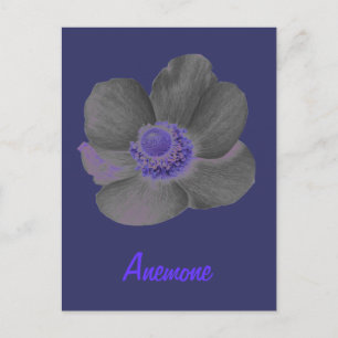 donkere dromen Anemone Flower Briefkaart