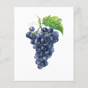 Donkere druiven aquarel voor wijnproeverijen flyer