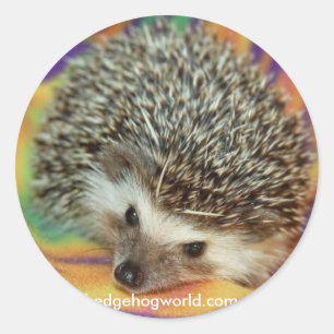 donkere egel sticker