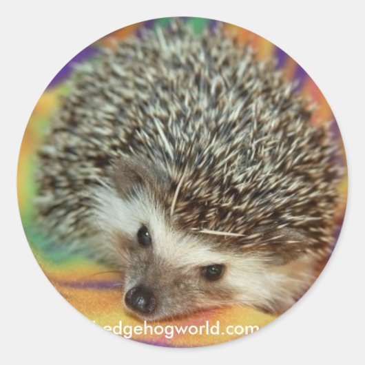 donkere egel sticker (Voorkant)