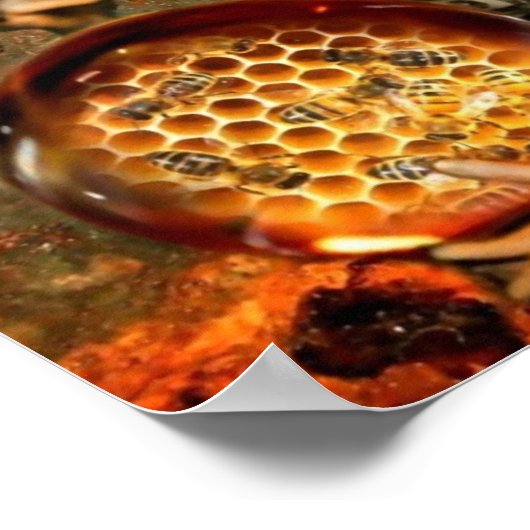 Donkere, eyed Bee Fae Poster (Hoek)