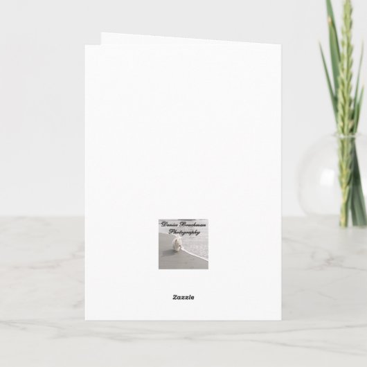 Donkere eyed Junco Bird Photo met kerstkaart Aankondiging (Achterkant)