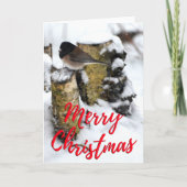Donkere eyed Junco Bird Photo met kerstkaart Aankondiging (Voorkant)