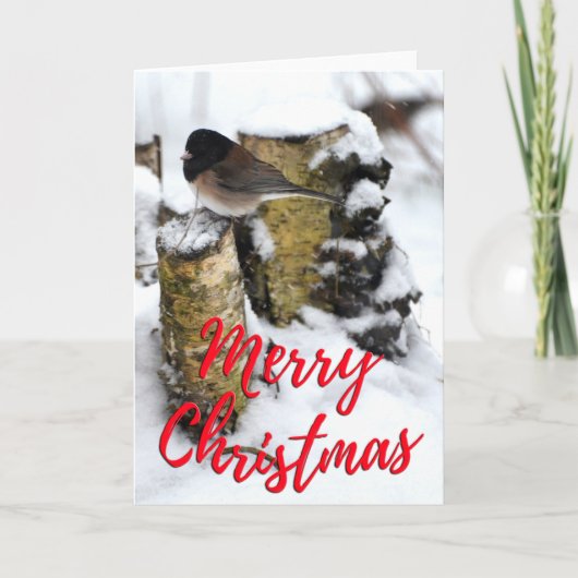 Donkere eyed Junco Bird Photo met kerstkaart Aankondiging (Voorkant)