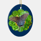 Donkere fase Ornament met tijger Swallowtail Butte (Rechts)