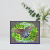 Donkere fase Tijger — welkomstgroep Briefkaart (Staand voorkant)