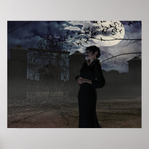 Donkere fegel in het moonlicht poster