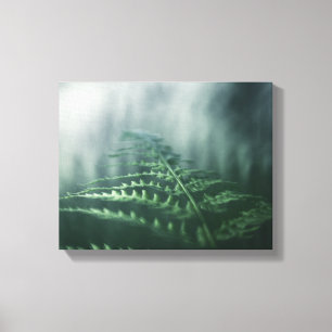 Donkere foto van Moody Fern natuur Canvas Afdruk