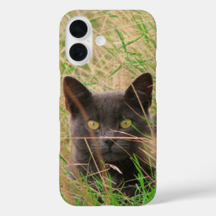 Donkere grijze kat die uit Tall Grass komt iPhone 16 Hoesje