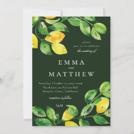 Donkere groene Waterverf citroen middellandse zee Kaart