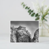 Donkere haren, kabinetskaart briefkaart (Staand voorkant)