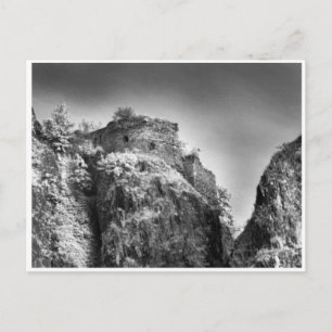 Donkere haren, kabinetskaart briefkaart