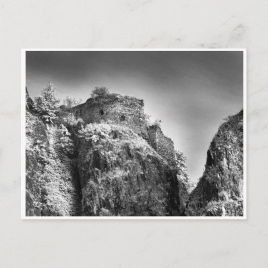 Donkere haren, kabinetskaart briefkaart (Voorkant)