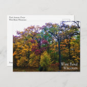 Donkere herfstbos briefkaart (Voorkant / Achterkant)